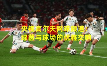 央视高尔夫网球频道：绿茵与球场的优雅交响