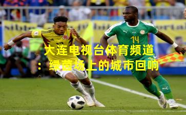 大连电视台体育频道：绿茵场上的城市回响