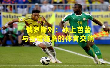 俄罗斯对:冰上芭蕾与雪域雄鹰的体育交响